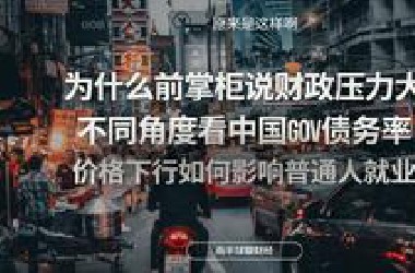 数据干货：中国债务率到底低不低？