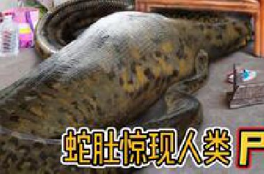 太惨了！10个在蟒蛇肚子发现的尸体