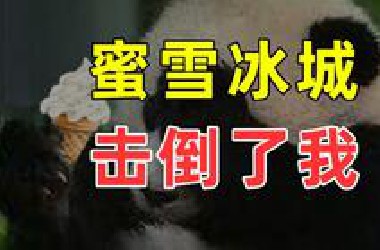 【半佛】蜜雪冰城击倒了我