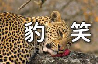 耗时两年半，打造属于00后的动物世界