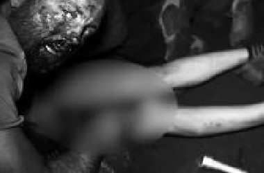 一段生吃hr 的录像被曝光，据说吓s了近400百万网友