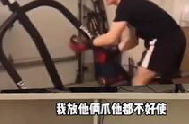 都不爱不出屋了，我们就在家看视频吧