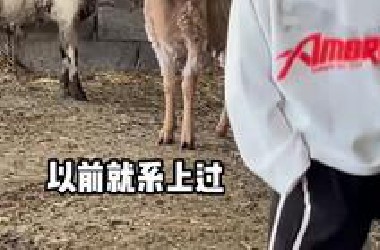 村里最大的网红拍电影呢