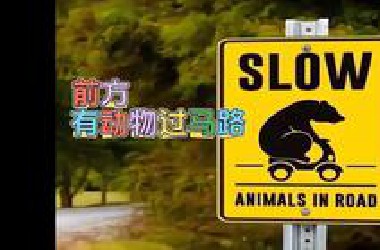 你听过这些警示牌背后的故事吗？