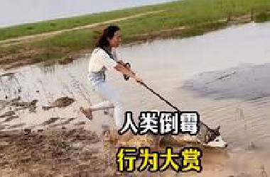 每日一遍，烦恼再见！盘点那些人类倒霉行为大赏！