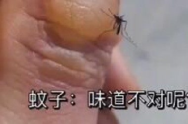 搞笑视频《蚊子：这味道不对呢？》