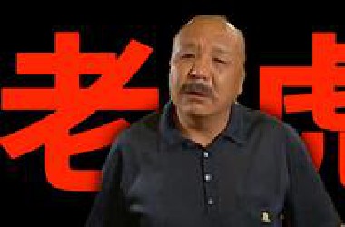 万字解析丨宋老虎 《征服》精讲