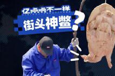 花了四位数，我们买下了街头的千年神鳖……
