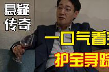 【补档】一口气看完护宝寻踪第1集-第36集解说预告：辛柏青饰演的穆见晖和姬他富大龙在线飙戏，上演一段荡气回肠的传奇故事