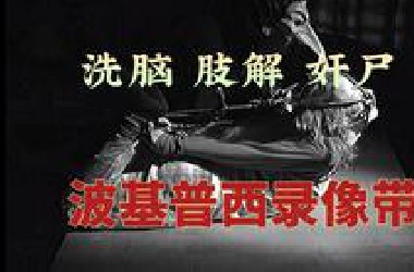 洗脑，肢解，奸尸。超变态伪记录恐怖片《波基普西录像带》
