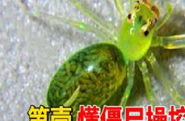 全世界最可怕的10种寄生生物，碰一下就变丧尸！第一名能无限繁殖，看见赶紧跑！