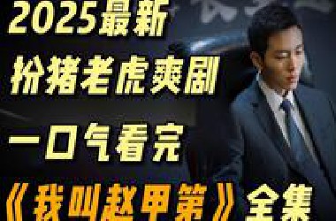 一口气看完《我叫赵甲第》全集解说