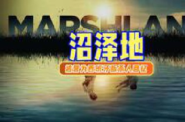 万字精讲《沼泽地》丨妙龄少女接连失踪，背后真相令人发指