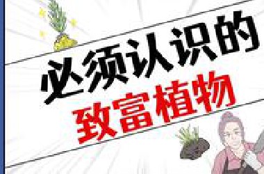 出门遛弯多观察，别错过了天降横财！