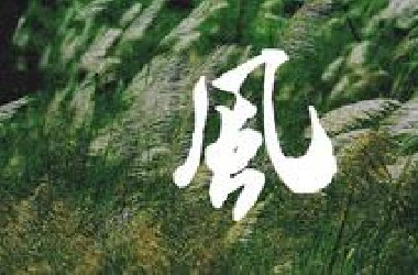 “就让风刮”
