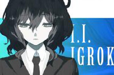 I . I . I G R O K