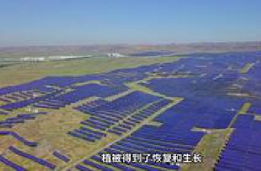 世界能源史上最大的乌龙事件，本想在荒漠建造电厂，却意外收获了一片绿洲。