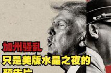 美国总统体内的德意志之血狂暴觉醒！这次倒霉的，是“非法移民”