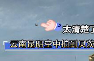 云南昆明网友拍到天空中飞行的圆形金属球，这次真是高清啊，都看到反光了！