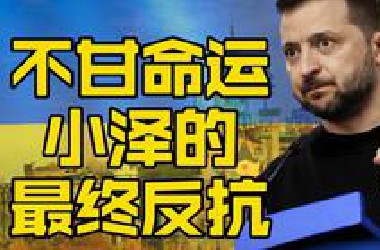 泽连斯基的反抗