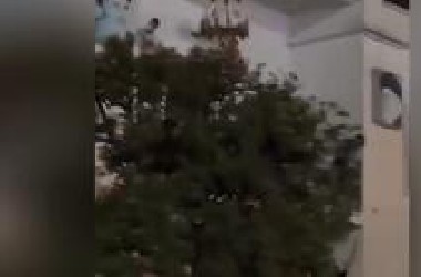 短短不到一周时间，哈梅内伊下台！革命政权垮台！伊朗变天！