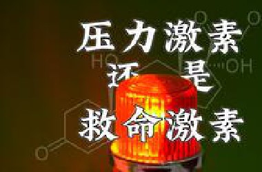 皮质醇：破解焦虑的底层代码【矩阵之外01】