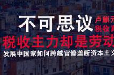 卢麒元：中国的税收90%以上来自劳动者而非资产和资本利得课税