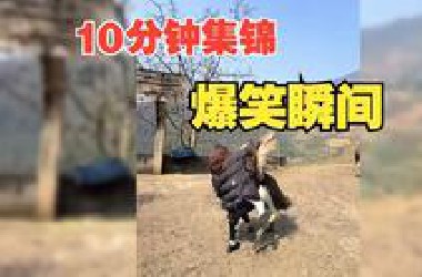 搞笑视频锦集，10分钟爆笑瞬间第19波