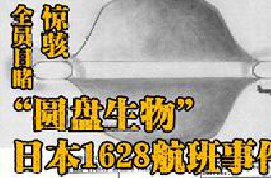 史上最庞大的UFO！日本航空遭遇诡异不明飞行物，圆盘生物体积超过飞机数十倍，机组人员全程目睹！