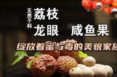 糖分越高，血糖越低，酷似邪神却能增加精神，一个富含毒素的美味家族【无患子科】