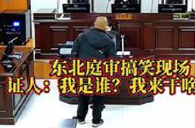 东北庭审搞笑现场，证人：我是谁？我来干啥的？