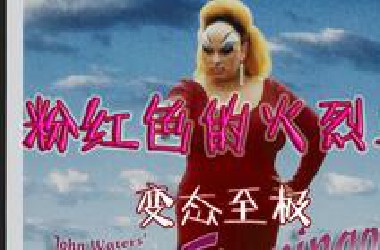最变态的电影！没有之一！《粉红色的火烈鸟》