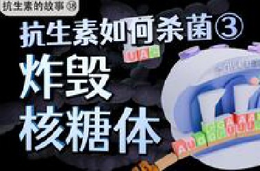那一天，人类炸毁了细菌的"蛋白质合成工厂"……【抗生素的故事⑱:杀菌机制之炸毁核糖体】