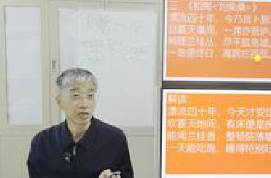 41北京师范大学 陈志新通识课 苏东坡诗词摘录解读 诗41集