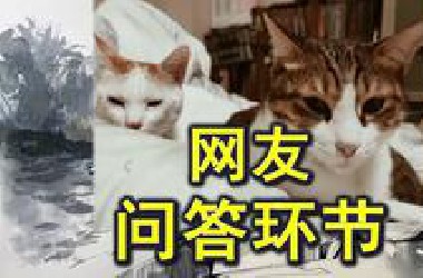 250612-2(完结)网友问答环节和看猫猫：俄乌、老美、中东、六代机。邱世卿《战争之路》