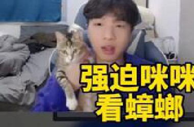 飞莎儿o*猎奇蟑螂视频 恐怖大电影