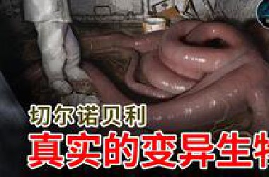 切尔诺贝利核辐射下的真实变异生物