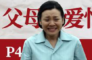 德华主动出击，脱单成功？解读9.5分佳作《父母爱情》P4