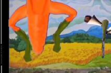 胡萝卜hrhr