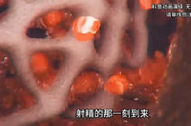 射精的一瞬间是什么感觉?
