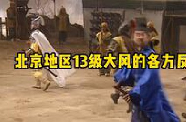 北京大风的各方反应