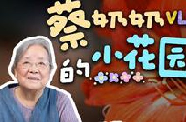 带大家看看我的小小“桃花源”