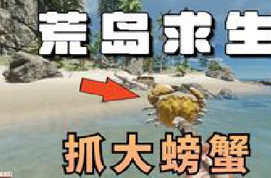 漂落荒岛，我要如何才能生存下去【荒岛求生01】