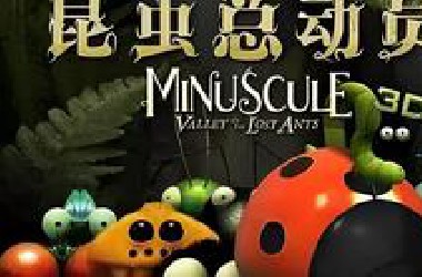 全117集【微观小世界V昆虫总动员】法国超萌动画，让孩子爱上大自然里的小昆虫，有趣的儿童自然启蒙动画片，满足孩子的好奇心