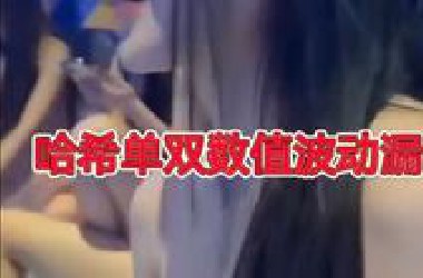 哈希单双技巧形态规律，奇趣分分方案方法平稳期