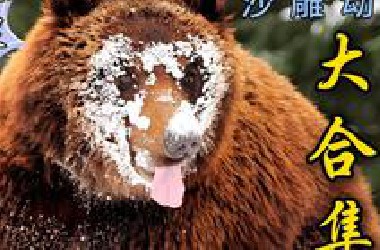 本视频花费两年半制作，请自觉降低笑点
