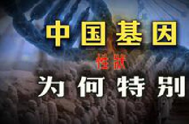 中国人有哪些特别的基因？干净又卫生的战斗民族是怎么养成的？【盗圣】