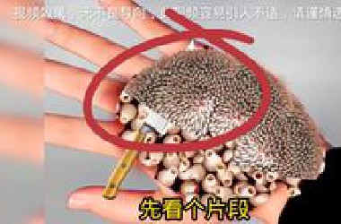 每一刀都是视觉盛宴