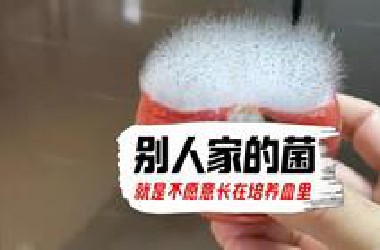 网友家里随便长得菌竟能让研究生们羡慕得不行