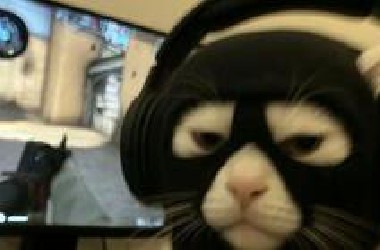 【FunnyPunk2】专治不开心！国外趣味视频集锦#237